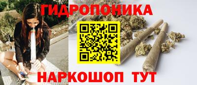 мдпв Ижевск