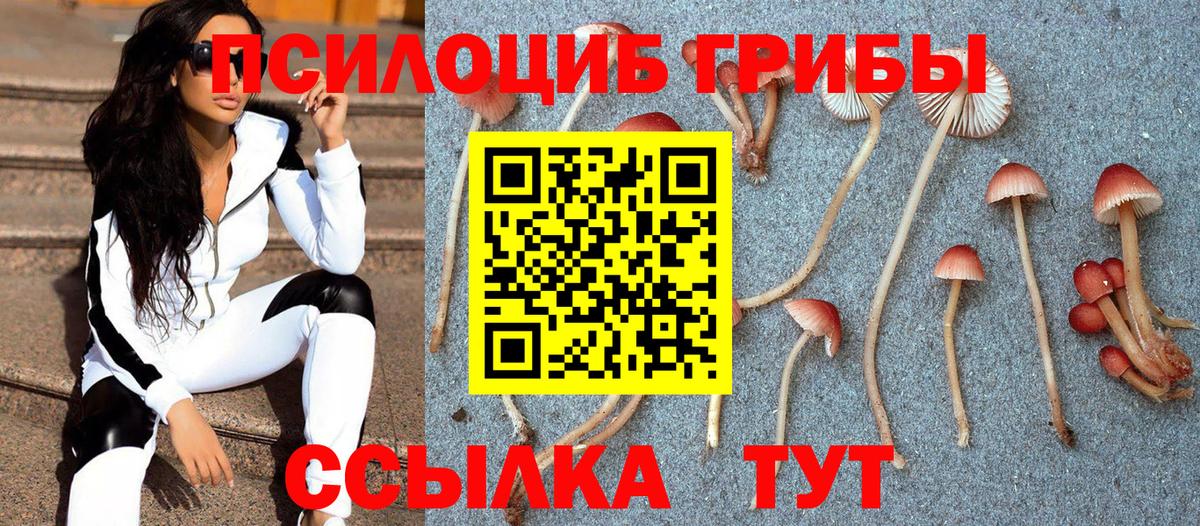 Ачхой-Мартан  Галлюциногенные грибы ЛСД  наркотики  Вход с VPN 